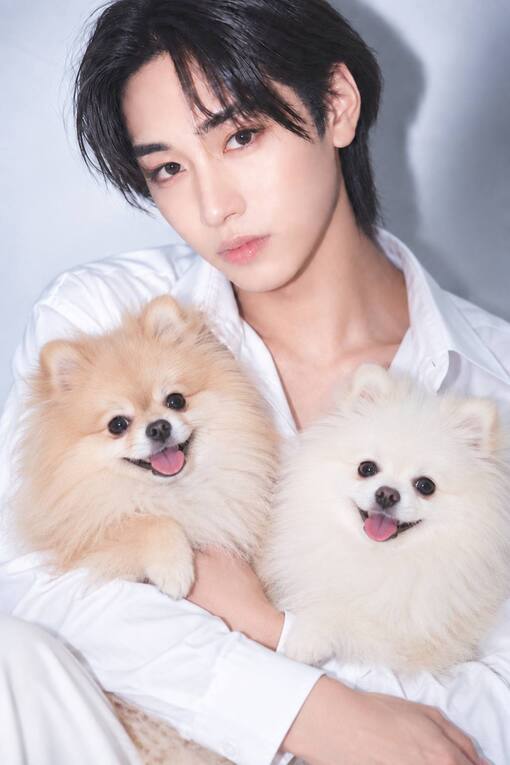 ポメが増えました🐶