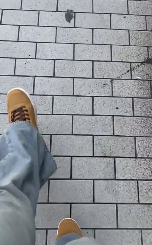 NICO の日記
